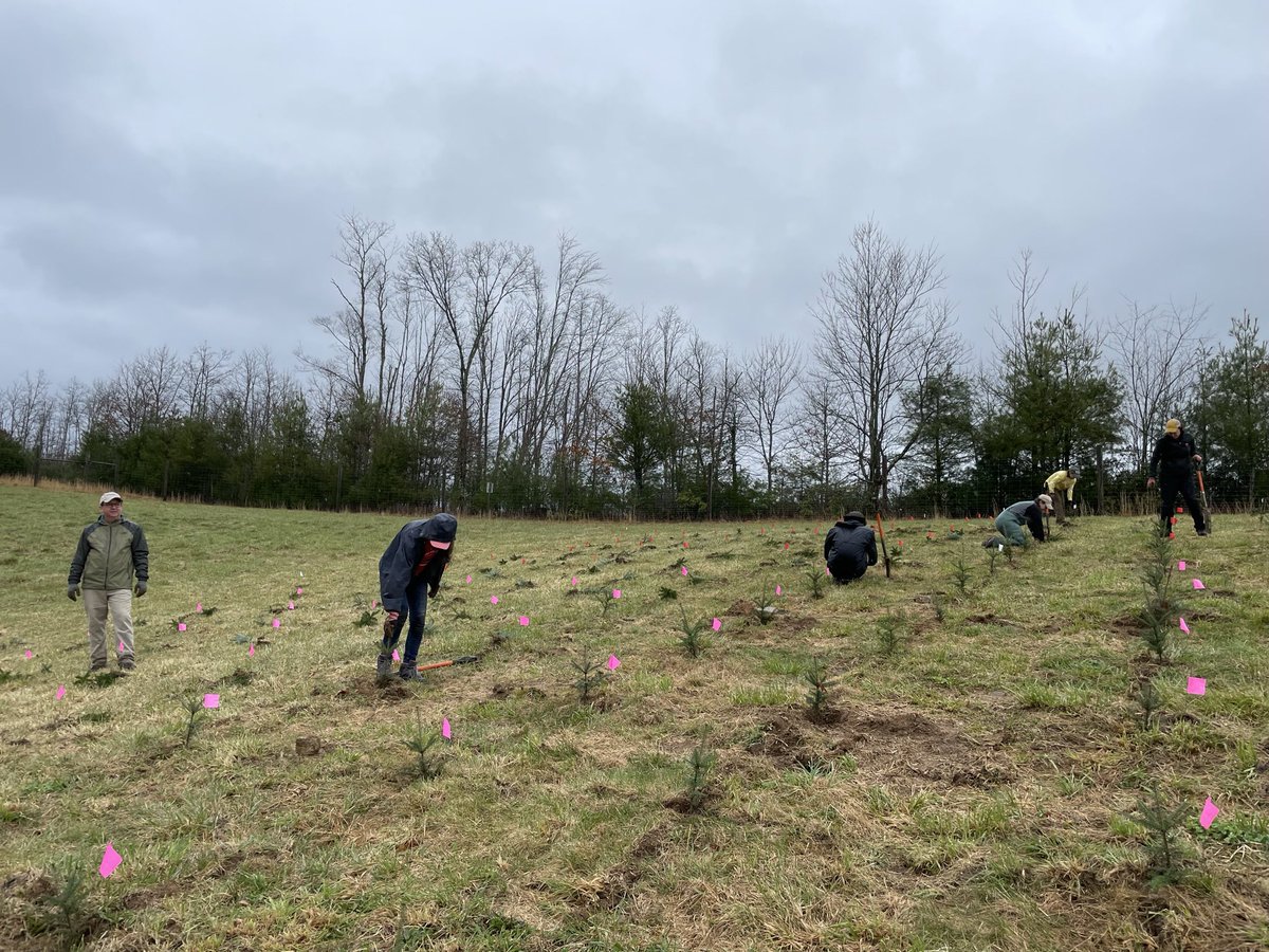 One year ago today: Planting Fraser fir seedlings at the Upper Mountain Research Station with the <a href="/NCForestHealth/">NC State Forest Health</a> crew. Great memories!