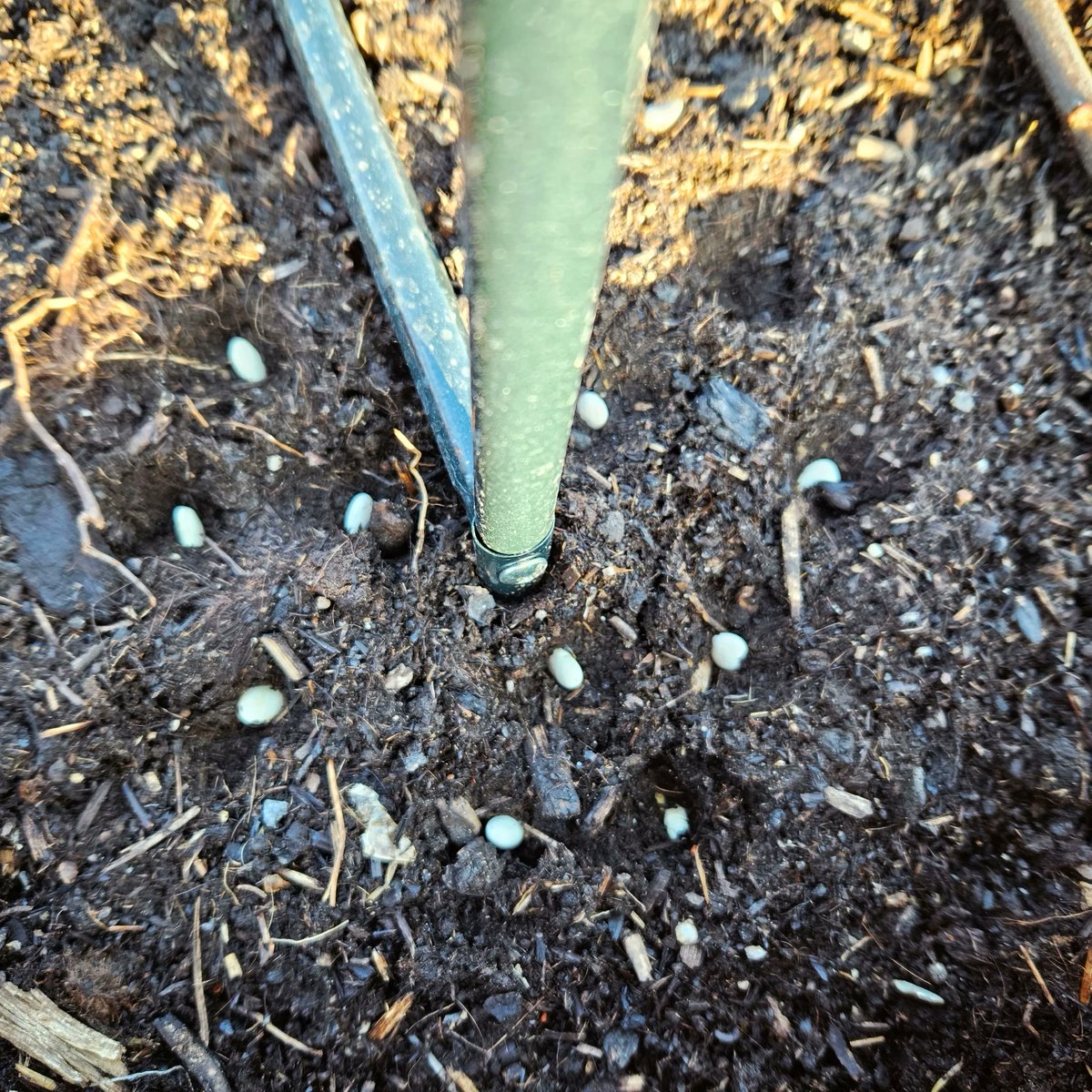 Thomas Sanladerer tweet media