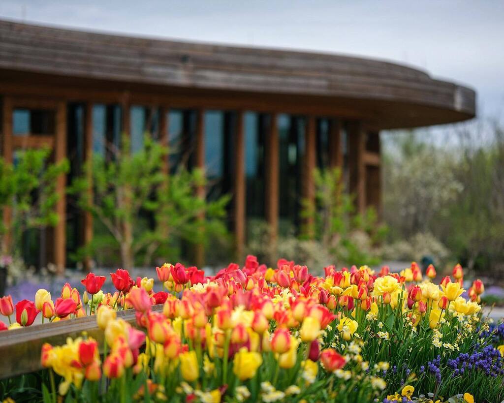 stevegrider's tweet photo. Spring. 
#springvibes #flowers #tulips #waterfrontbotanicalgardens 
Adventures with @jonathanestesbrand https://t.co/JPtL3m748b https://t.co/88JEFLKtgM