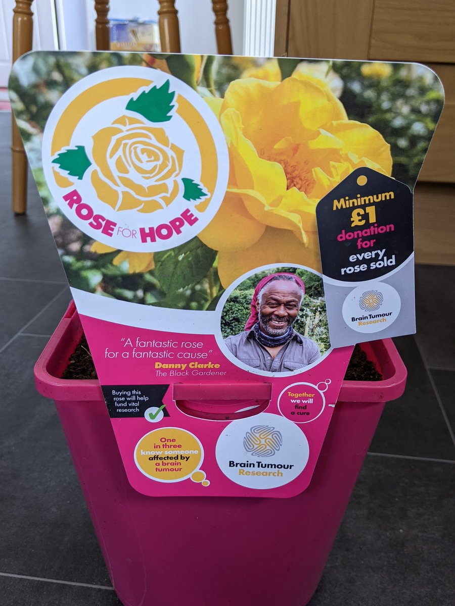 julietlegg's tweet photo. Excited to have bought my @braintumourrsch rose. I love roses and this is a great excuse to buy another #roseforhope https://t.co/6KZL7ndheM
