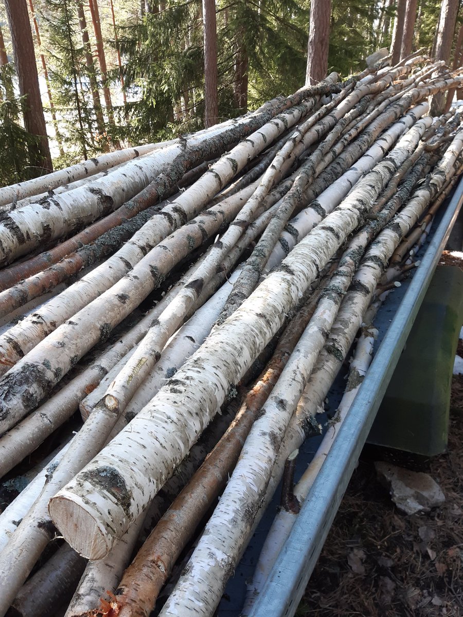 sariruusumo's tweet photo. Kysyivät töissä mitä teemme pääsiäisenä. No, järjestämme saariston nuorisolle virkistyspäiviä! 😅 Alkaa 14v ja 17v kavereilla olla jo ruista ranteessa. #Merimasku #Otava #Naantali #HyvääPuuta https://t.co/tI3AbQ4ty8