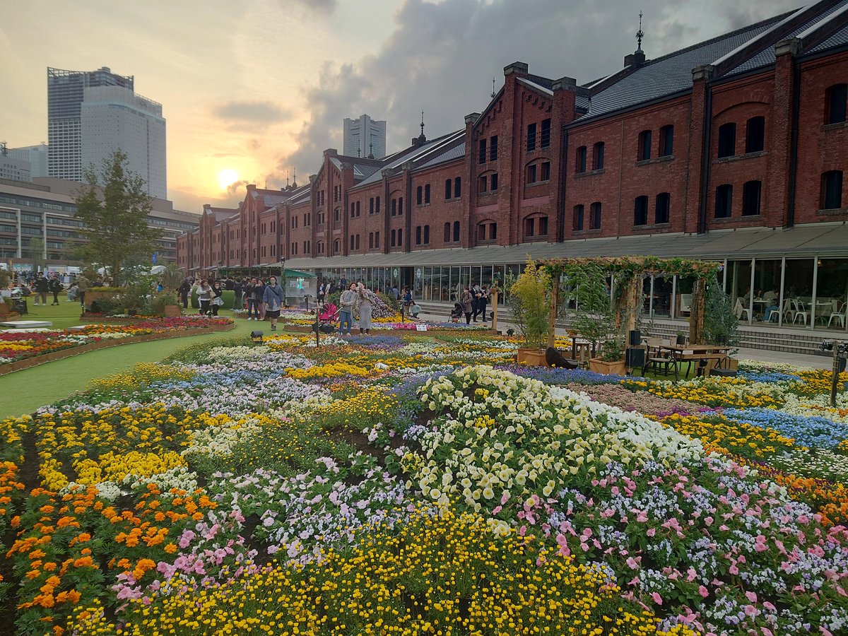 ちぇば tweet media