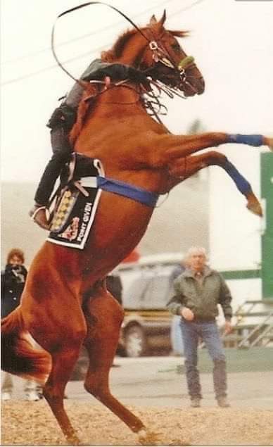 HORSERACING1002's tweet photo. POINT GIVEN🇺🇸 1998
(THUNDER GULCH- TURKOS TURN BY TURKOMAN) 
#PointGiven https://t.co/ONRcyIR2QR