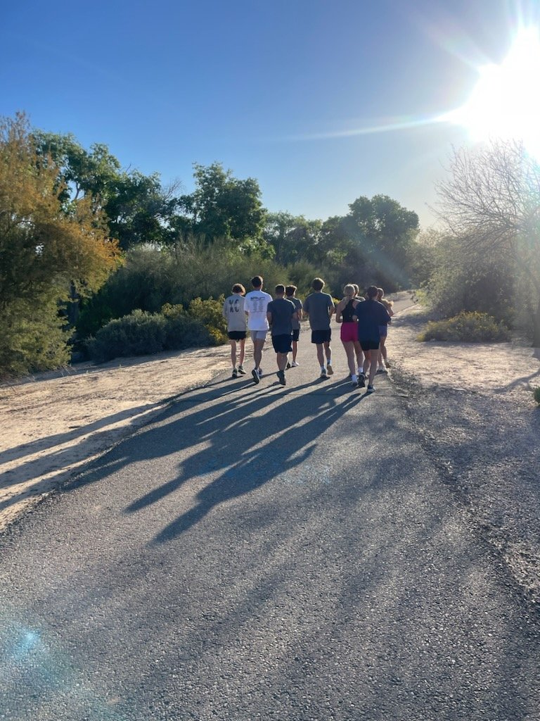 HigleyXCTF tweet media
