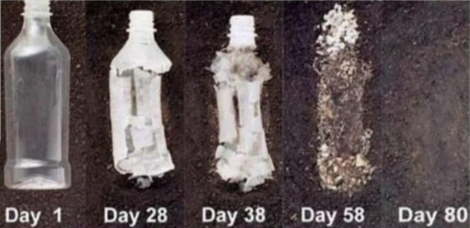 🍶 Kenevirden elde edilen plastik şişenin 80 günde tamamen yok olması. 

♻️ Kenevir plastikleri toksik değildir ve biyolojik olarak parçalanabilir. Petrol bazlı plastiklere kıyasla daha güçlü ve daha hafiftir.