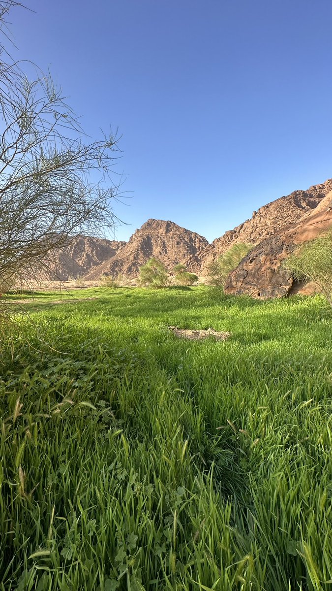 نقليات البرية تبوك