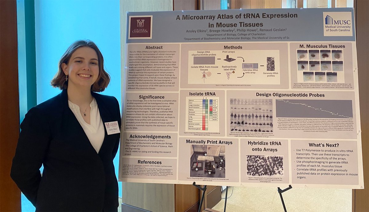 CofC School of Natural and Environmental Sciences tweet media