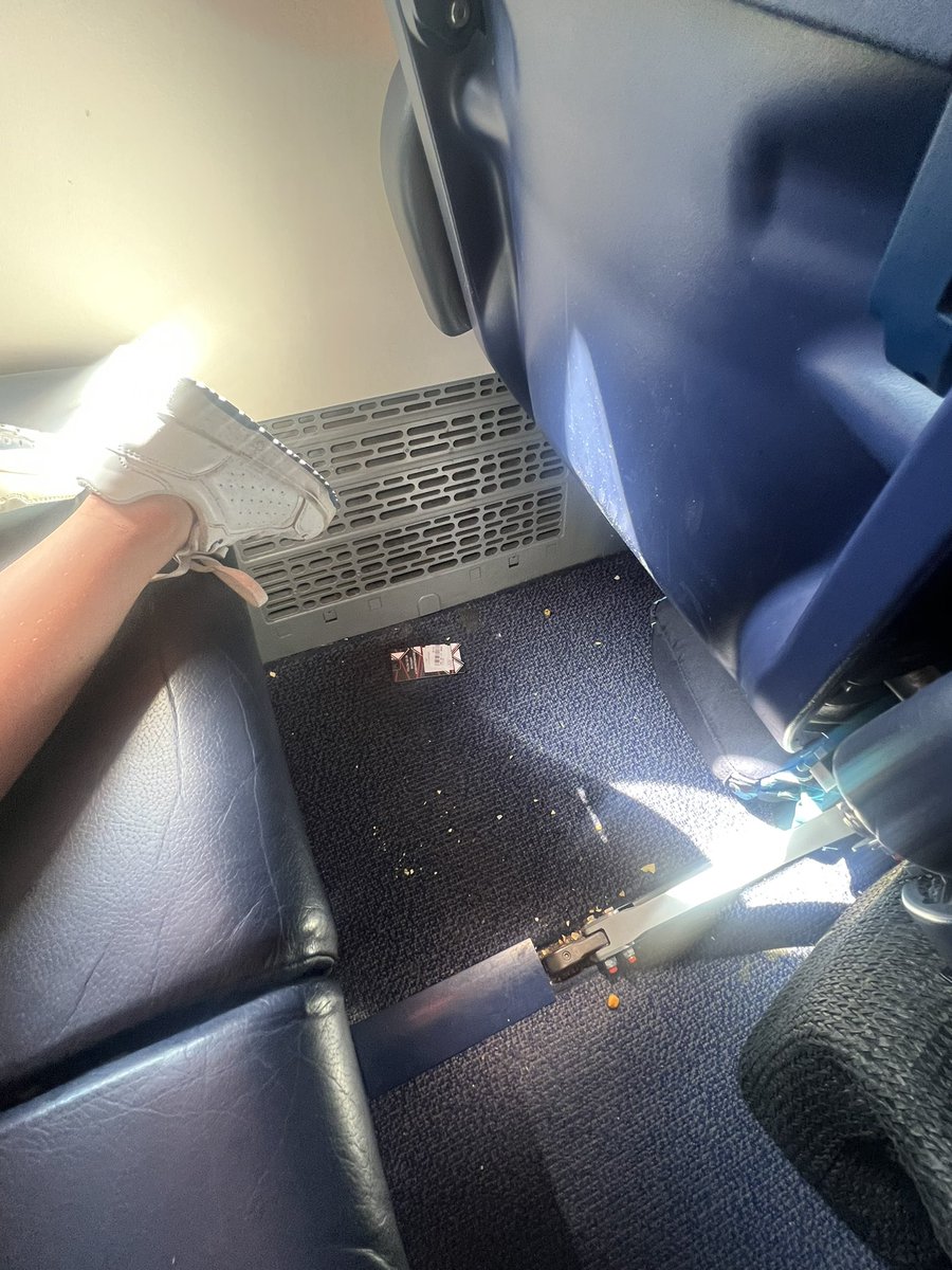 Claire Morrison tweet media