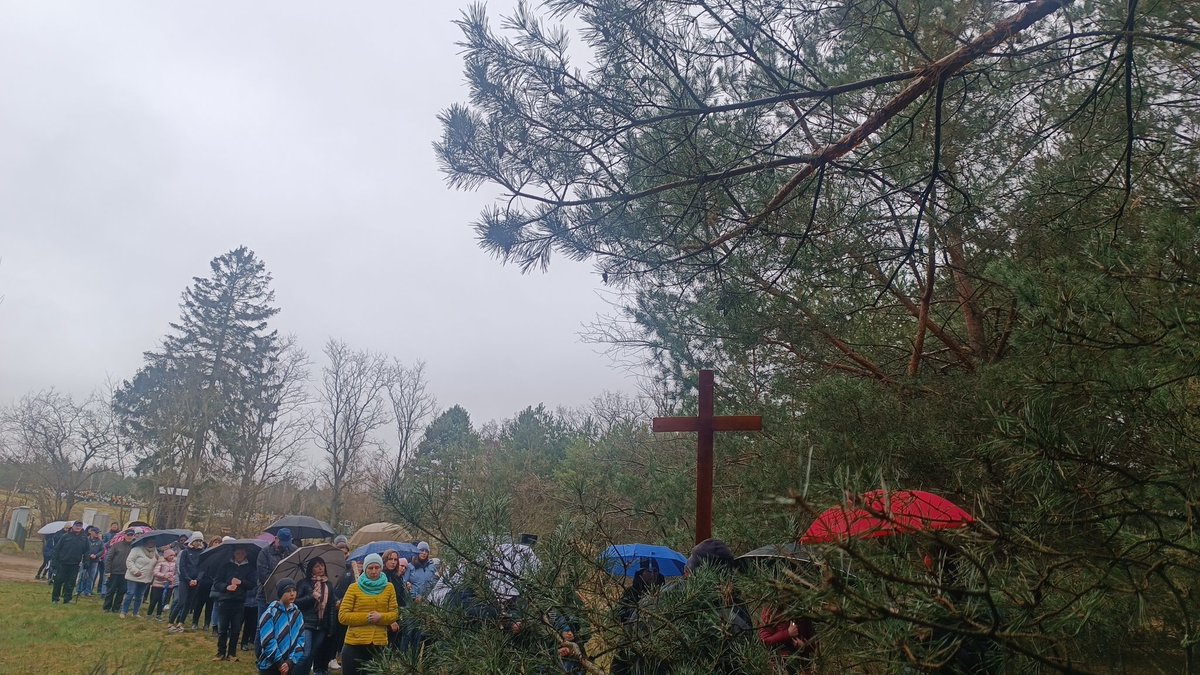 Parafia w Piłce tweet media
