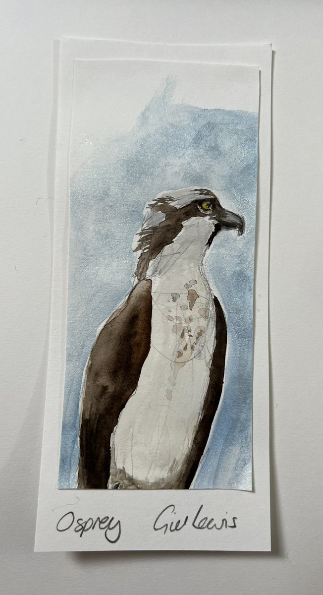 Bookmark for #BookmarkProject heading it’s way to @slhattersley 
Osprey x