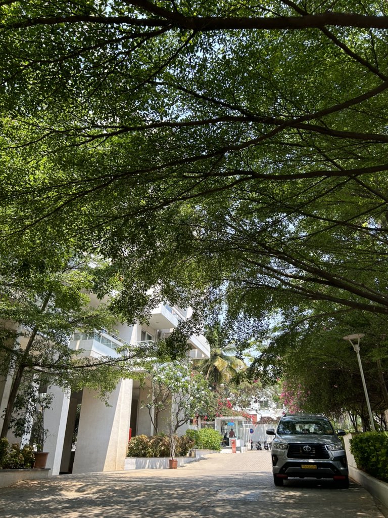 sleepleap's tweet photo. Just another aesthetic ordinary day in Bangalore ✨ https://t.co/xaL4pUF1m2
