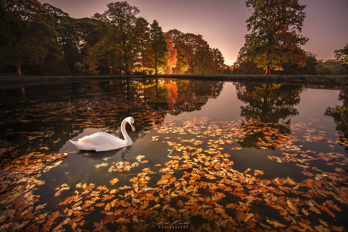 Townley Lake, Burnley