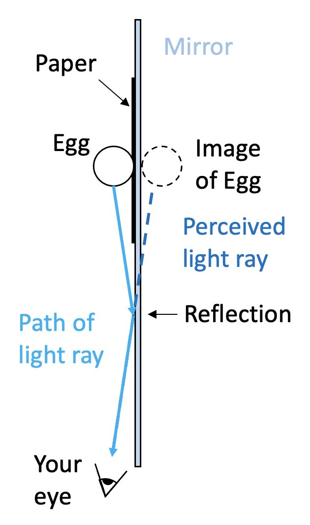 Peter Gao tweet media