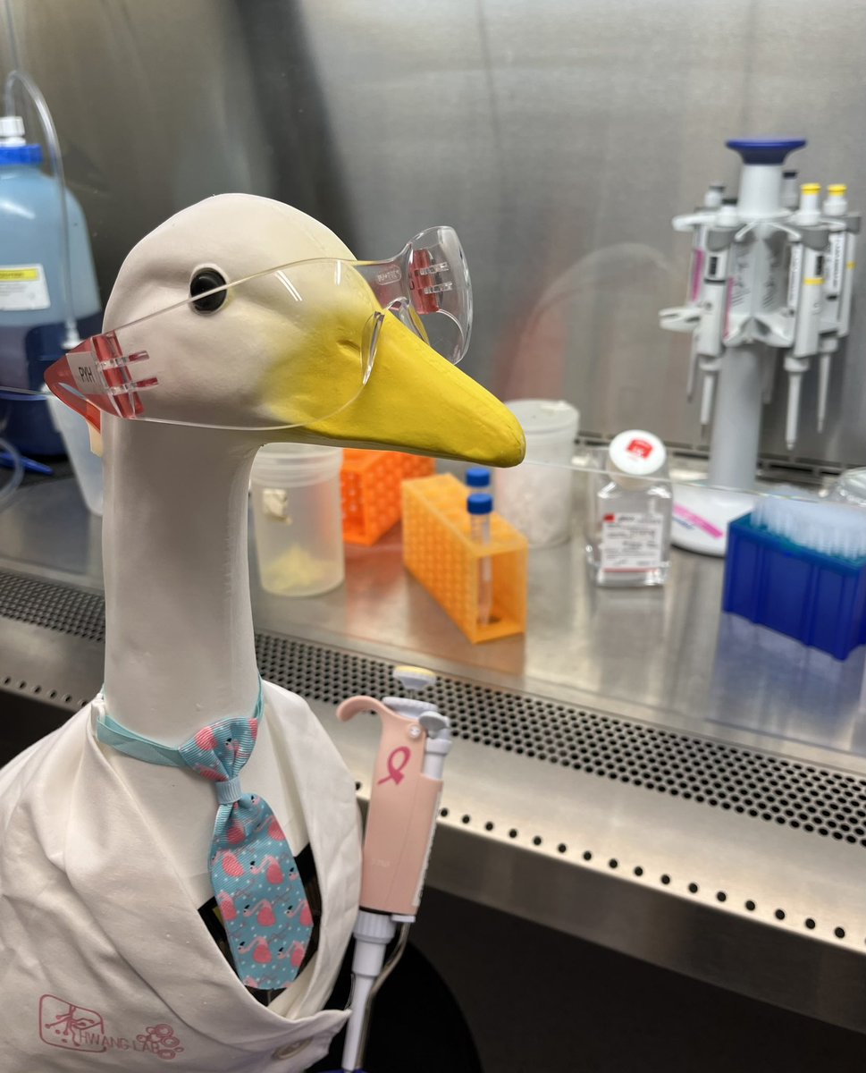 Vote for Eggbert in the Gaggleville photo contest, so he can be even more stylish when doing his research!! platform.heyo.com/fbcontests/1/p…