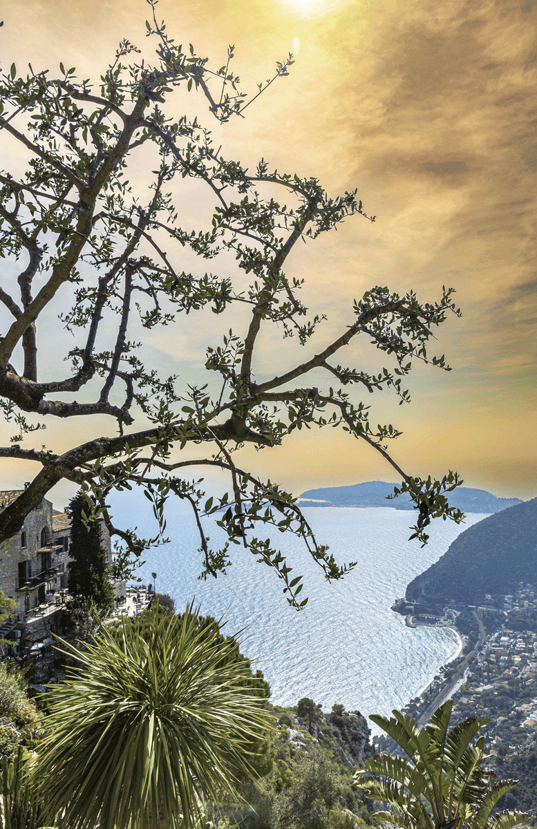 Eze_Tourisme tweet picture