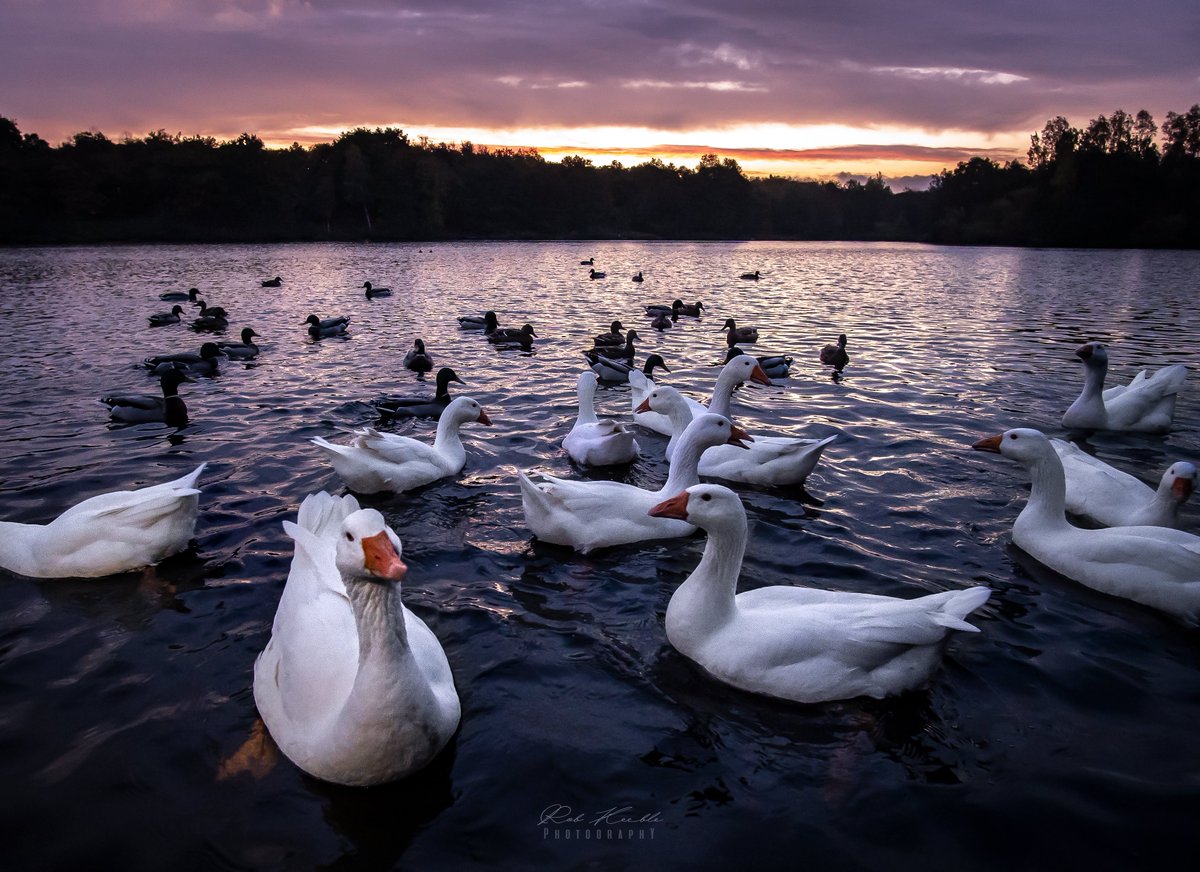 Rowley Lake, Burnley