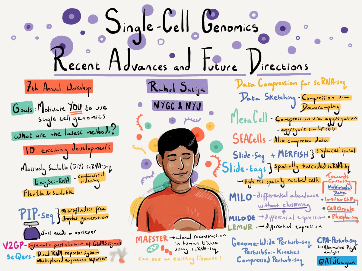 First talk of #singlecellgenomicsday by <a href="/satijalab/">Rahul Satija</a> summarising the latest developments in single cell genomics