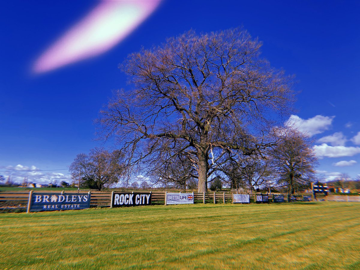Hundhillcricket's tweet photo. Sponsorship banners are up and looking fantastic in the Easter sunshine! 

2023 banners are £200 for the year, price includes production and fitting. Get in touch! 👊🏼🏏🦋 https://t.co/OObk5NFPLL