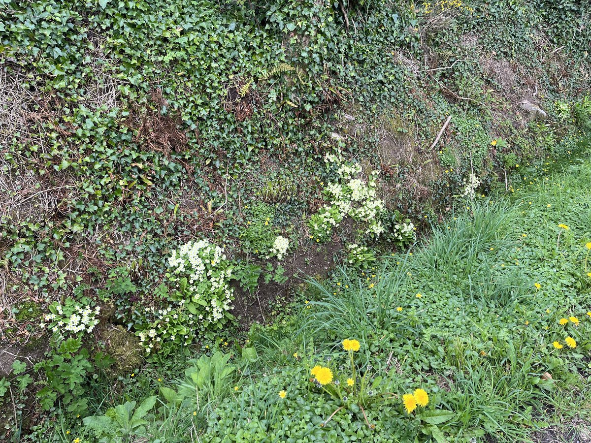 ⁦<a href="/castleHmacroom/">Castle Hotel Macroom</a>⁩ ⁦<a href="/MacroomFoodFest/">Macroom FoodFestival</a>⁩ ⁦<a href="/MacroomGAA/">Macroom GAA</a>⁩  The Gearagh on Good Friday. A magical &amp; peaceful spot.