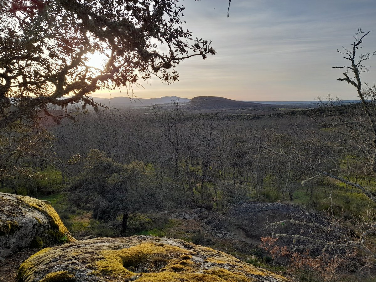 El 2 de julio os esperamos a todo@s para disfrutar de la tercera edición del Desafío BTT Fuenterrico en Fuentes de Béjar (Salamanca), <a href="/aytoledrada/">Ayuntamiento de Ledrada</a>, Sorihuela, Fuenterroble de Salvatierra, Fresnedoso y La Nava.