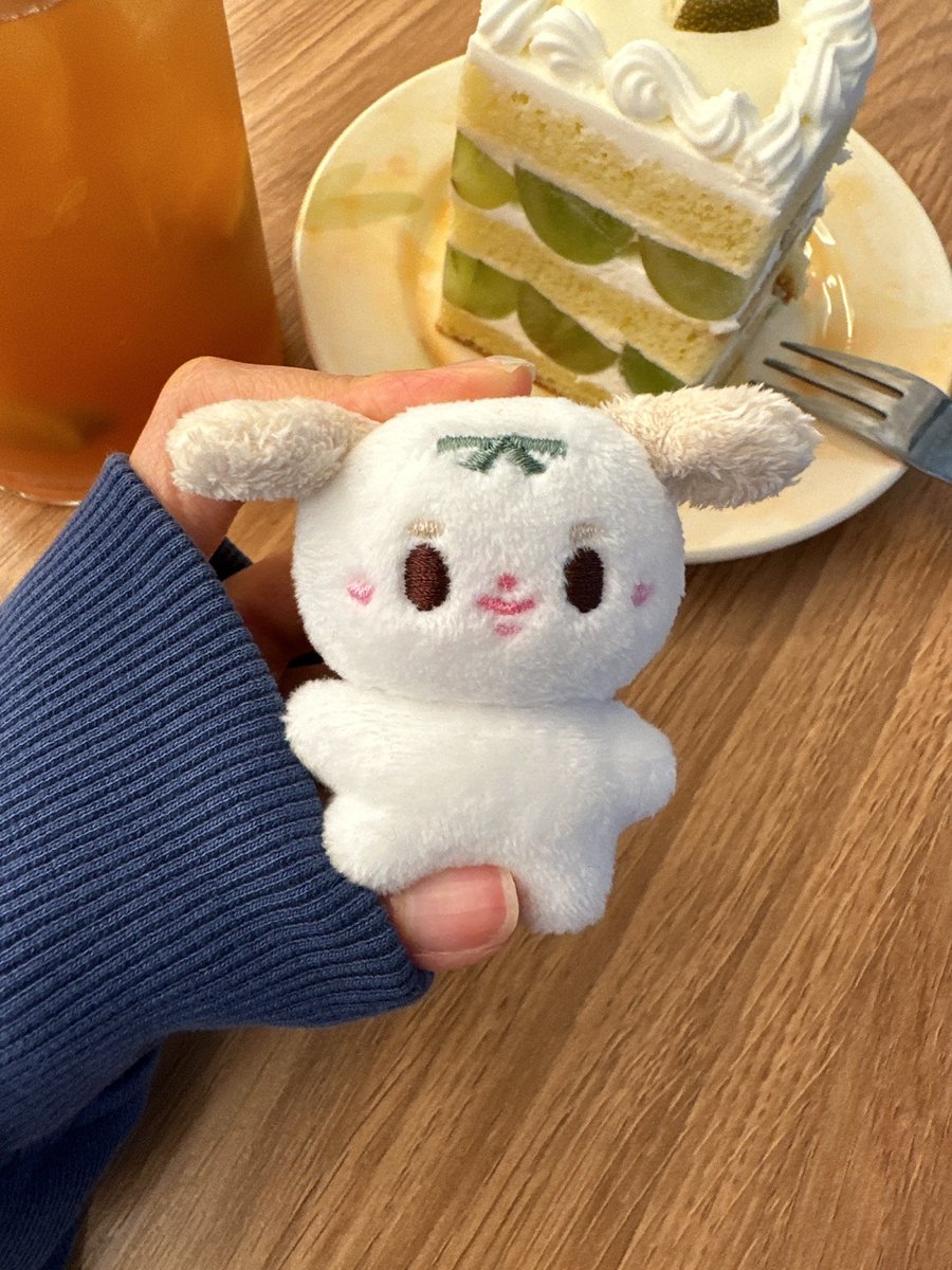 SeogkongI's tweet photo. 뽀진이와 석콩이 
1차 샘플이 드디어 나왔습니다! 🥳 
무보정 , 경락 후 사진이며 
수정사안은 타래에 달아둘게요 
확인부탁드려요 ! 💓 https://t.co/znRu7Hlb2Z
