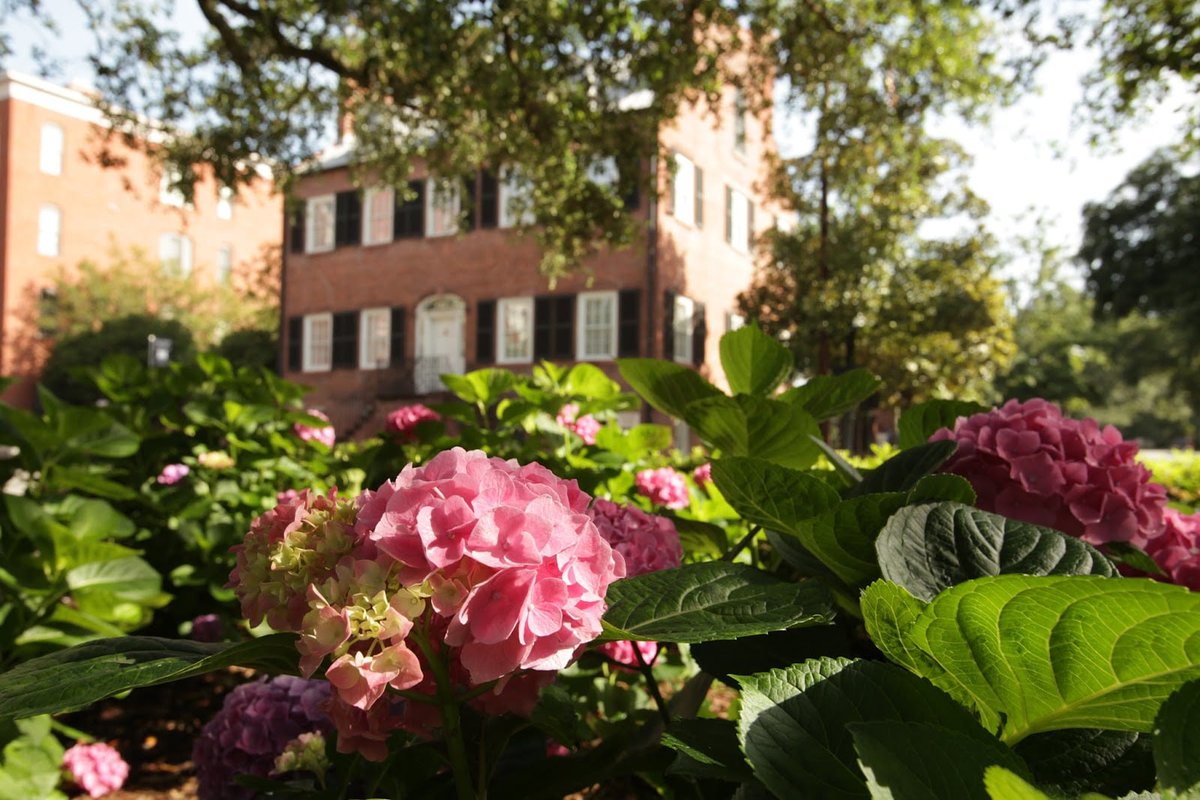 Historical gem with friendly staff: "I had such a fun tour of the Davenport House while out on my own for a morning. The staff was friendly and chatty and very much wanted to do the best they could to figure out how to get you a discount..." davenporthousemuseum.org
