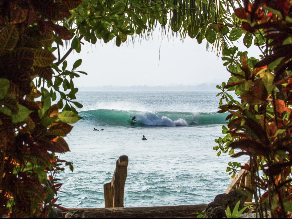 johnnyjungle_'s tweet photo. When nature takes care of the framing for you. Gm 🌴 https://t.co/Ld9Vhu7uo0