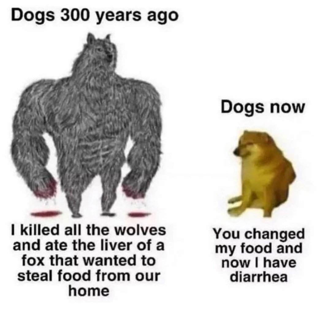 Jayson23eth's tweet photo. Gm @elonmusk I just tanked my bag with $doge you gonna do me like this? I thought we was straight 🤭

#Dogecoin #DOGE #cryptocurrency #WorldHealthDay #StayHealthy ❤️ https://t.co/VyuRX63Qt1
