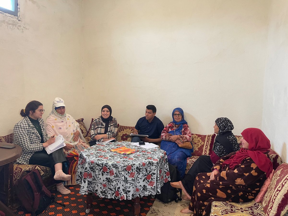 Dina Najjar tweet media