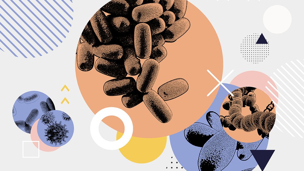 The process of naming bacteria follows specific rules – but do you know what they are? Fun Friday read from <a href="/IDTransmission/">ID Transmission</a> 

ow.ly/hxns50NmFoP

 #infectiousdiseases #pathology #microbiology #scicomms #IDTwitter
