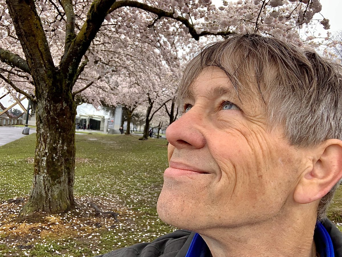StevenRedlin's tweet image. Love these 2-3 weeks of Cherry Blossoms at the Portland Japanese American Historical Plaza. In the gentle rain, it’s even more beautiful! ⁦@KGWNews⁩ ⁦@KGWWeather⁩