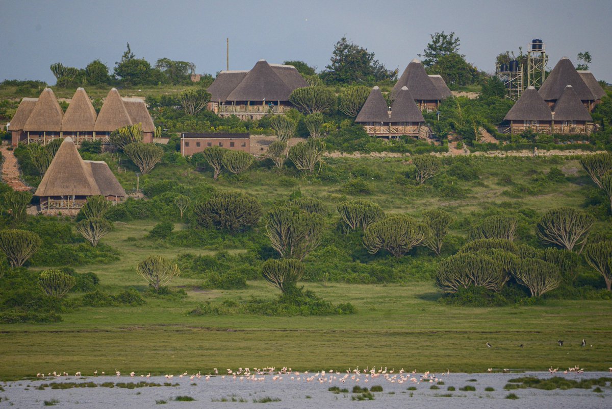 Ssenyonyiderick's tweet photo. products and services to a global audience, which will help you attract more customers.
I understand the challenges that the tourism industry has faced due to the COVID-19 pandemic, and I personally believe that POATE can play a vital role in the recovery of the industry. https://t.co/690kKZzPVX