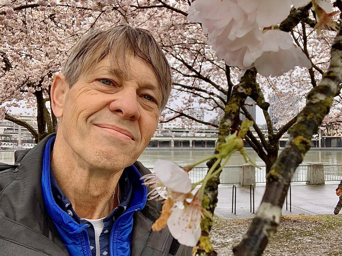 StevenRedlin's tweet image. Love these 2-3 weeks of Cherry Blossoms at the Portland Japanese American Historical Plaza. In the gentle rain, it’s even more beautiful! ⁦@KGWNews⁩ ⁦@KGWWeather⁩