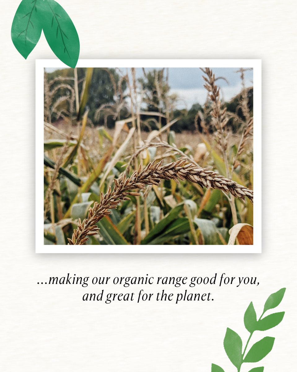 BionaOrganic's tweet photo. This #WorldHealthDay, we're reminded that good health starts with good food! 🌱

That's why we're proud to offer a wide range of organic, plant-based products that nourish your body and support a healthier lifestyle. 🥕🍎 🥦 (2/2) https://t.co/X6VsKlTb5k