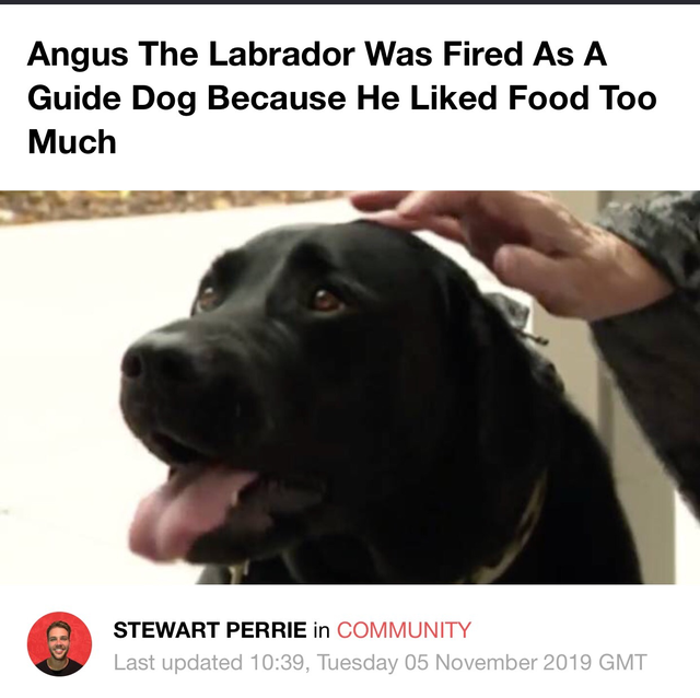 HeckinGoodDogs's tweet photo. https://t.co/znORspz0H3