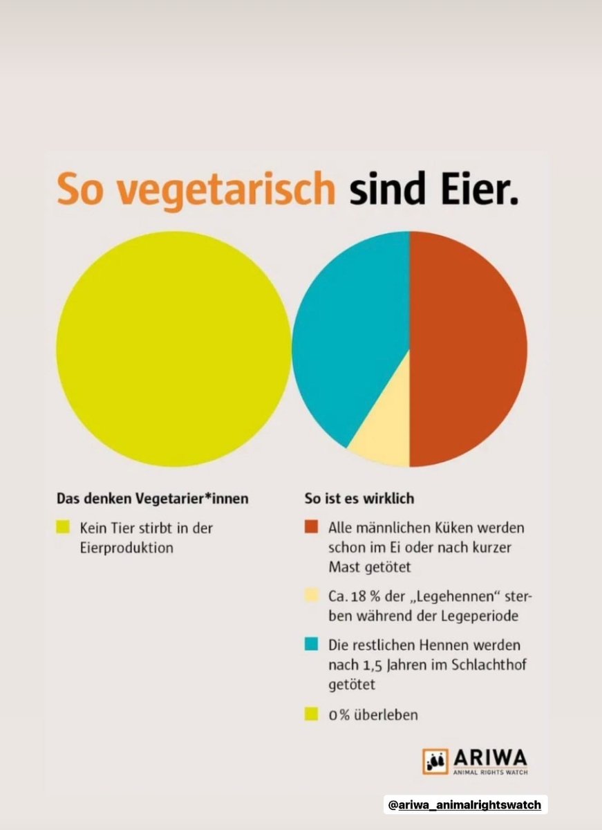 Lainsitzprinz's tweet image. So (un)vegetarisch sind Eier.