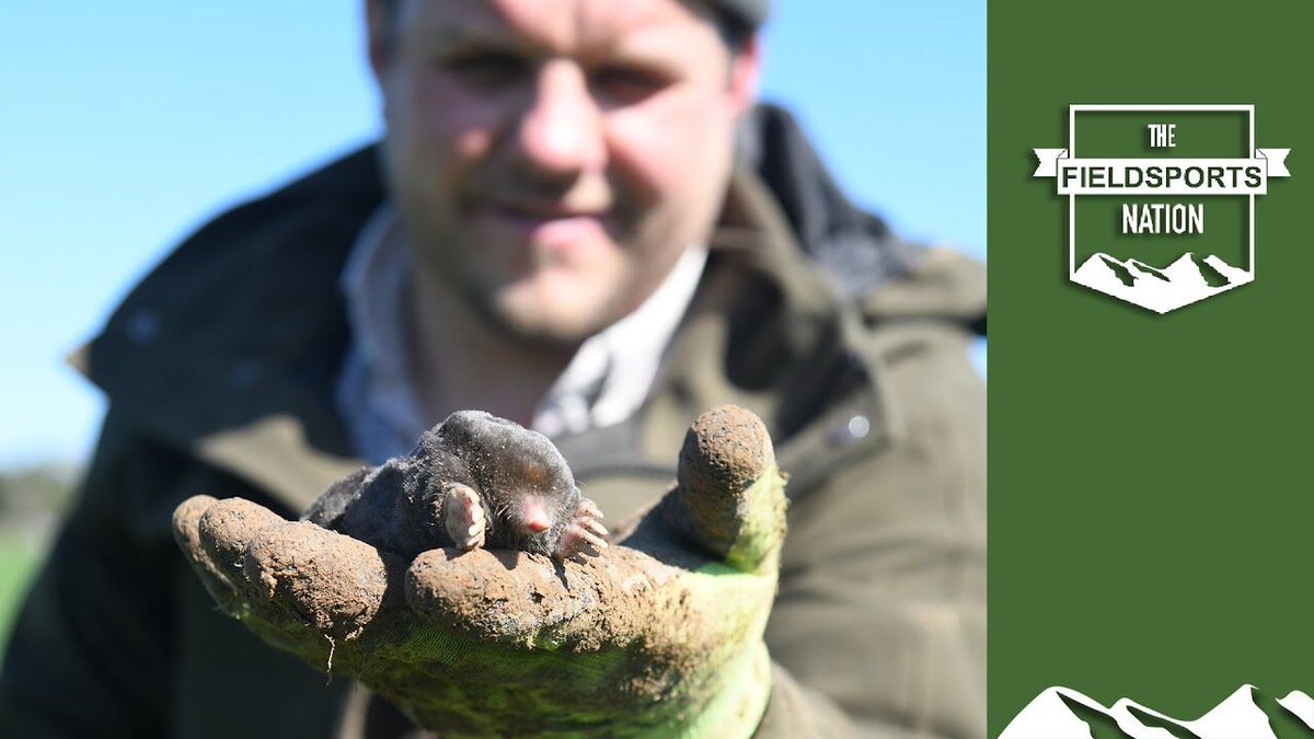 Moles devastating your lawn? You need a molecatcher, and they don’t come more mole-catchy than Matt Lower. He explains the tips and tricks he uses to rid gardens of the small gentleman in velvet. 
Watch: bit.ly/3GiFXrD