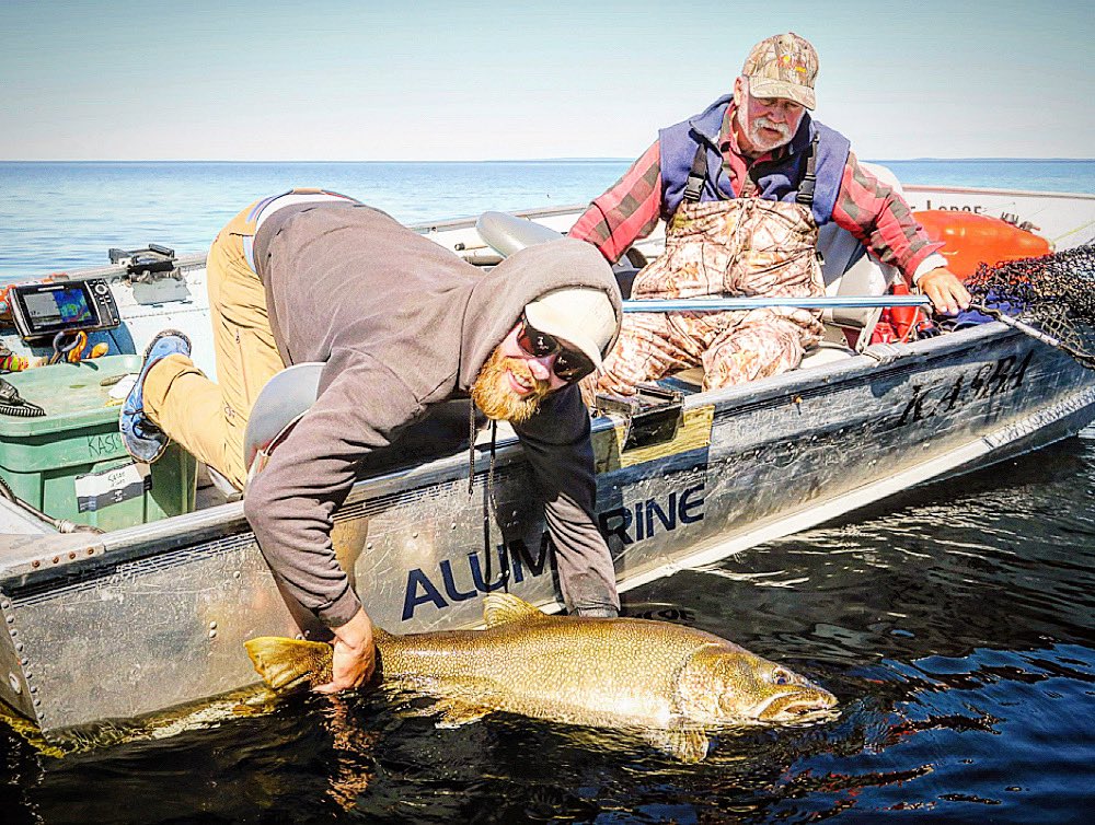 Another giant Lake Trout from the 2022 season  being released for Big Fish Friday! 

#BigFishFriday #KasbaLakeLodge #KasbaLake #Kasba #SpectacularNWT