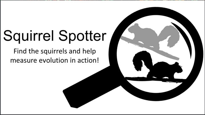 Help out my friend <a href="/queencompost/">Jess Proctor</a> with her grad research on camouflage in squirrels! Play the interactive squirrel spotter game here: tinyurl.com/squirrelspotter and please retweet and share with colleagues and students!