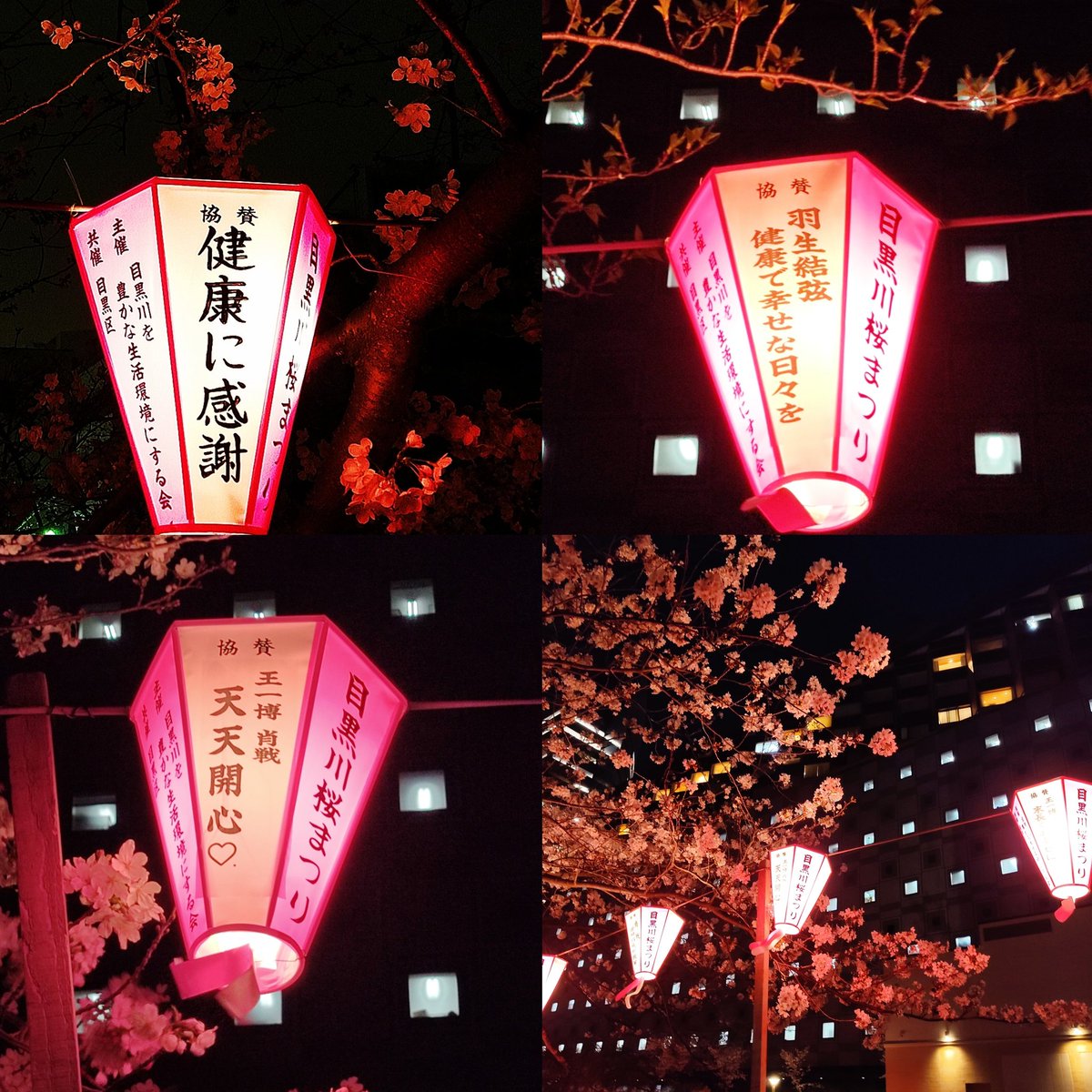 _chun0425's tweet photo. ライトアップされた
夜桜は
幻想的でとても
綺麗でした✨✨🌸

今日も
素敵な1日を〜🎶

#おは戦50408ad🍩
#TLを花でいっぱいにしよう
#目黒川桜まつり https://t.co/dISKwr0uVo