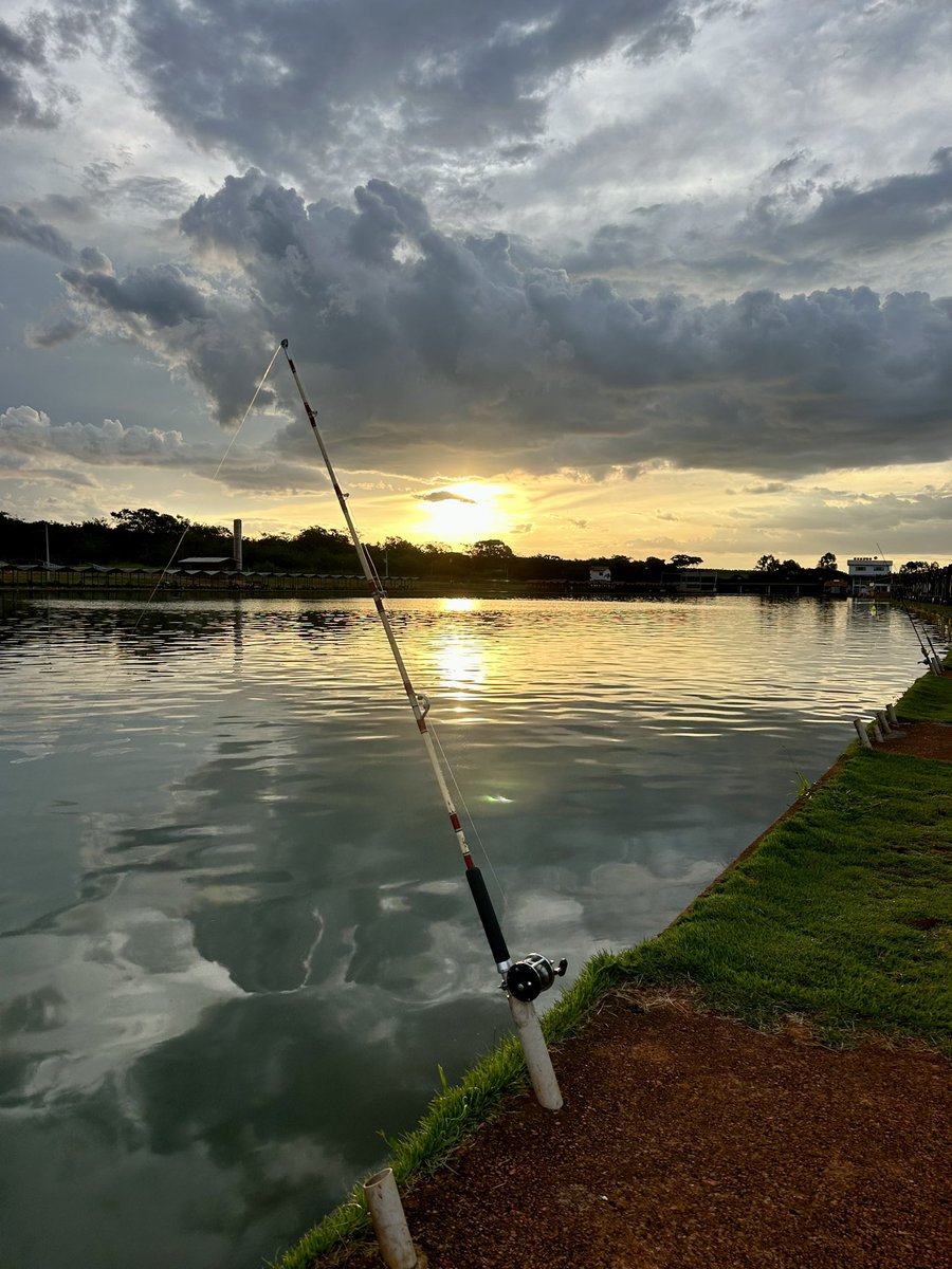 NasserMarcelo's tweet image. A natureza nos presenteia com momentos mágicos! Pôr do sol, pescaria e gratidão 🙏🏽🌅🎣 #pescaria #pordosol