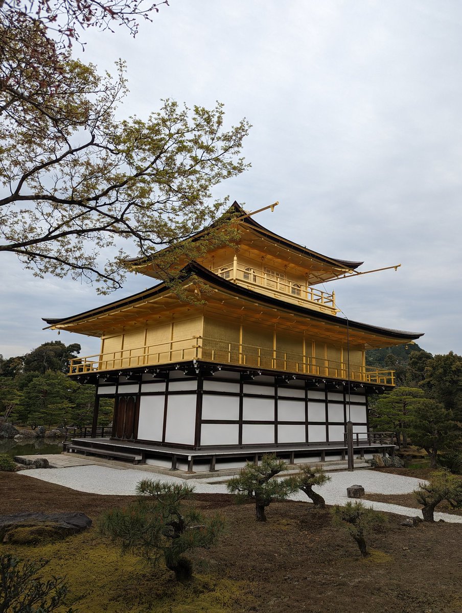 hosopyon's tweet photo. 先日行った京都、金閣寺のような観光地はインバウンドの外国人が8割占めてたなー https://t.co/MOpbApqLub