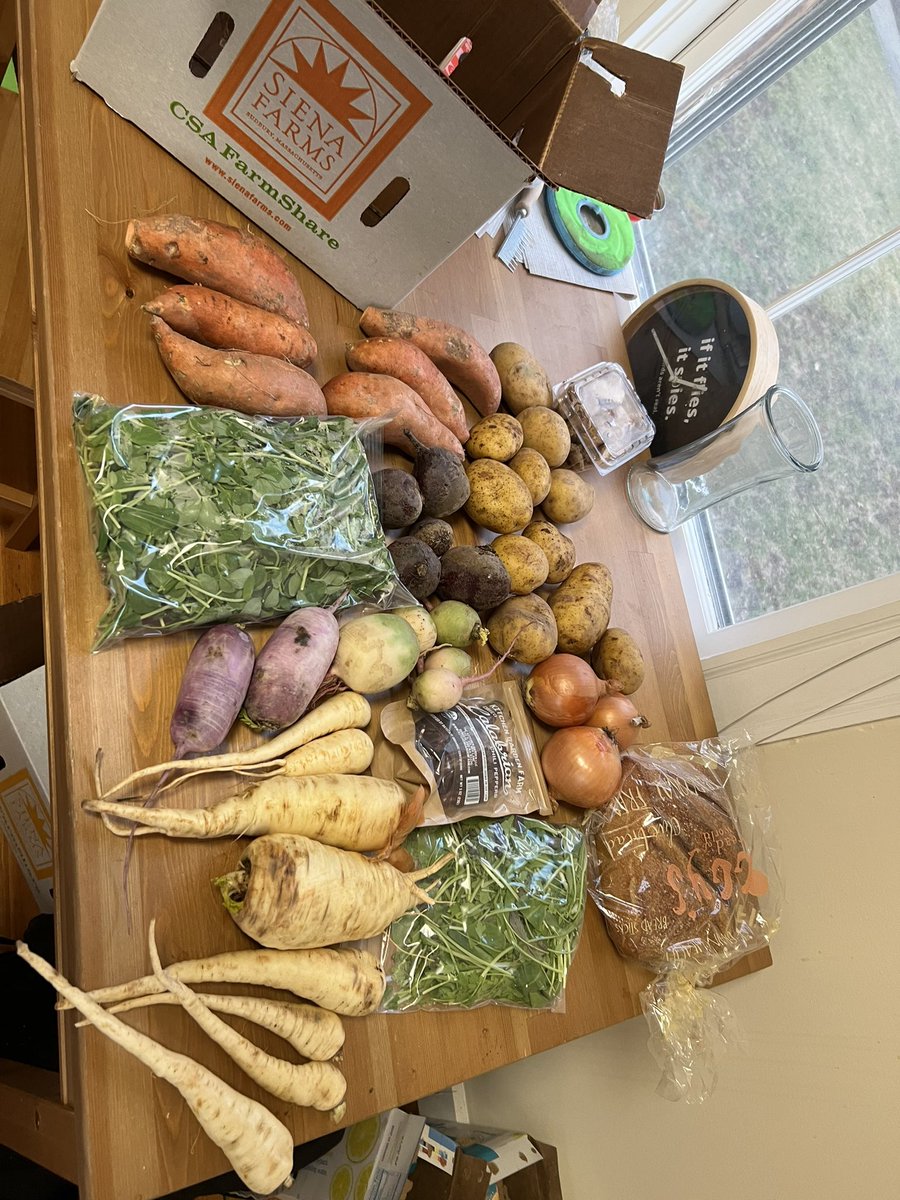 clare_mathias's tweet photo. alright what do I make with these gorg but very numerous @SienaFarms potatoes https://t.co/gMSV7lc3R8