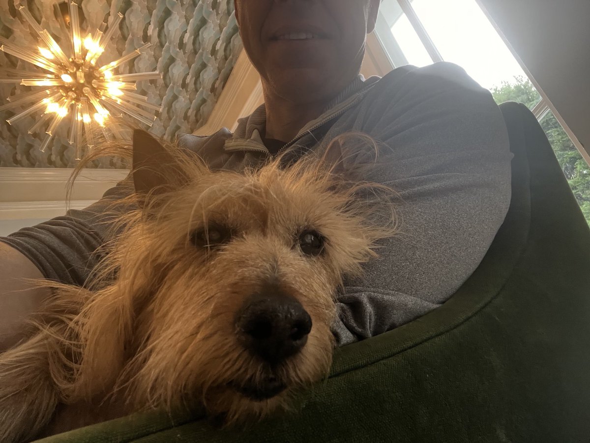 WinstonTapper tweet media