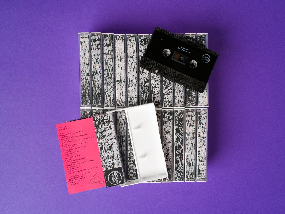 Today is #bandcampfriday so why not grab an LP, tape, and/or download of my new album Speech Patterns? noahwall.bandcamp.com