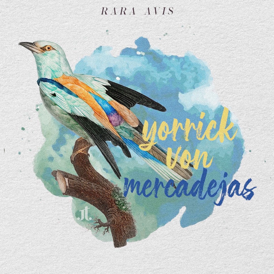 jei_torrealba's tweet photo. — PART 2 —
𝐑𝐀𝐑𝐀 𝐀𝐕𝐈𝐒
ra· ra avis, rär-ə-ˈä-wəs
: another term for “rare bird”
: someone or something that is rare
: 𝗮𝗻 𝗲𝗹𝗶𝘁𝗲 𝗳𝗿𝗮𝘁𝗲𝗿𝗻𝗮𝗹 𝗼𝗿𝗴𝗮𝗻𝗶𝘇𝗮𝘁𝗶𝗼𝗻
#jonaxx #RAS #RaraAvis #SIYF #ACTYA #RTMV https://t.co/bhmGeAIUMr