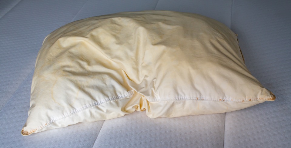 Report: Wow, Pillow Very Yellow

thenoser.com/article/Report…