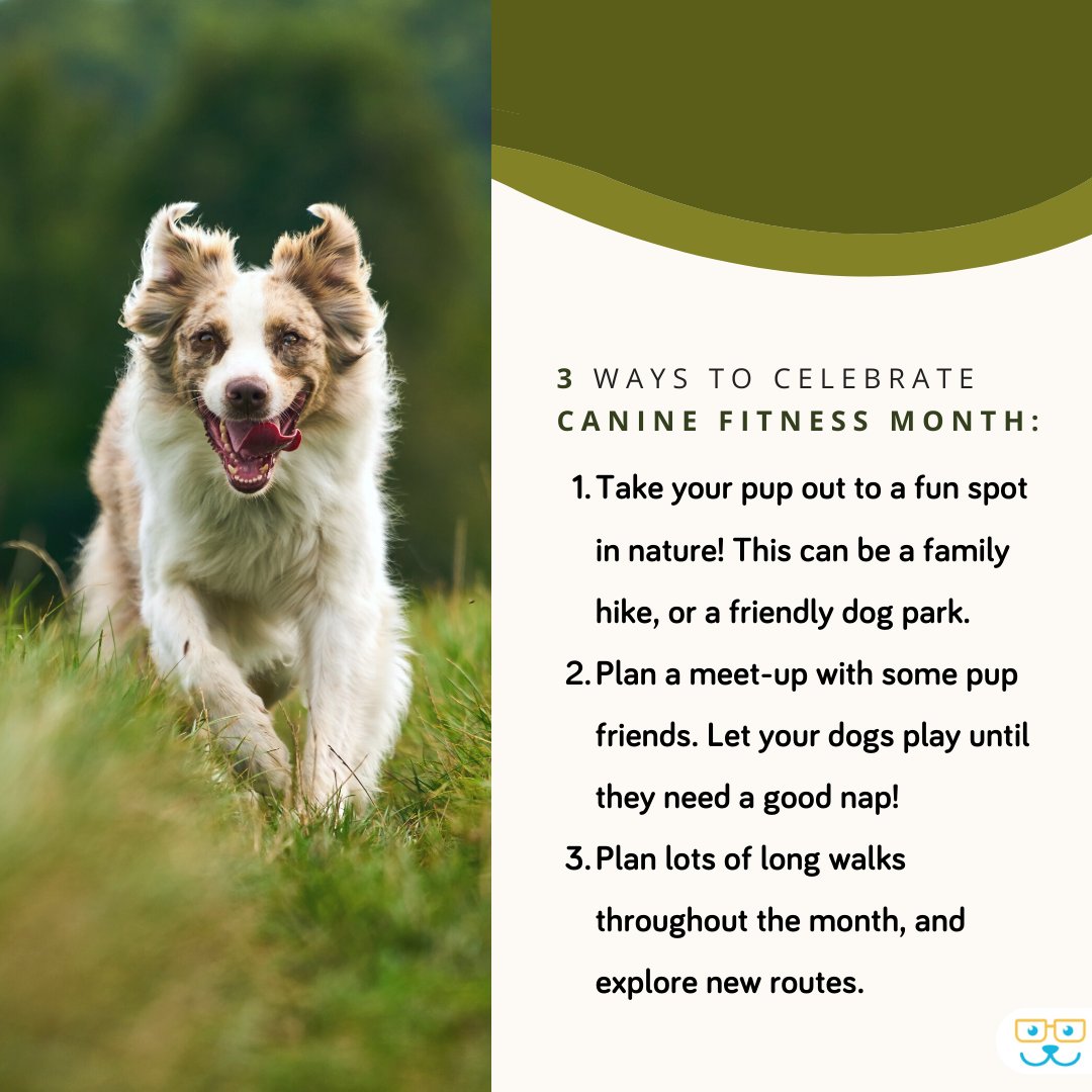 It's Canine Fitness Month! Let's celebrate our furry friends by keeping them healthy and active. Make sure to also provide a balanced diet and regular exercise routine. Your dog will thank you for it! 

#caninefitnessmonth #caninefitness #dogfitness #dogexercise #willowbrookv ...