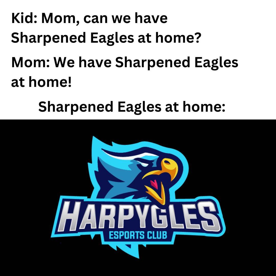 Sharpened Eagles tweet media