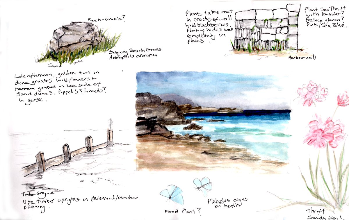 Head out with your sketchbook and be inspired by your local landscape and wildlife habitats. Our new step-by-step book, 'Designing and Creating a Coastal Garden', is available from online retailers, local bookshops and at crowood.com #wildifegarden #coastalgarden